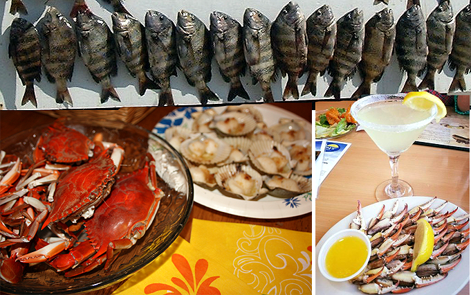 Steinhatchee Fresh Catch Seafood